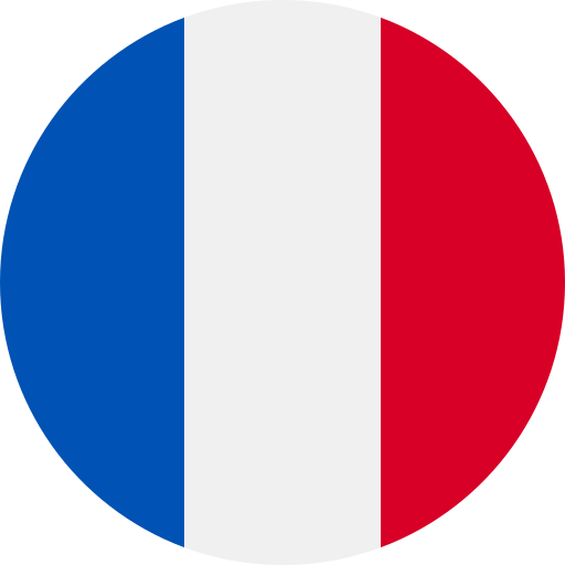 GePanda eSIM France