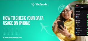 How To Check Your Data Usage on iPhone